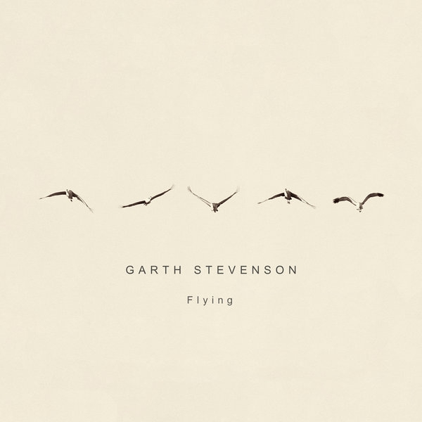Flying by Garth Stevenson